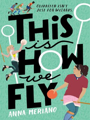 cover image of This Is How We Fly